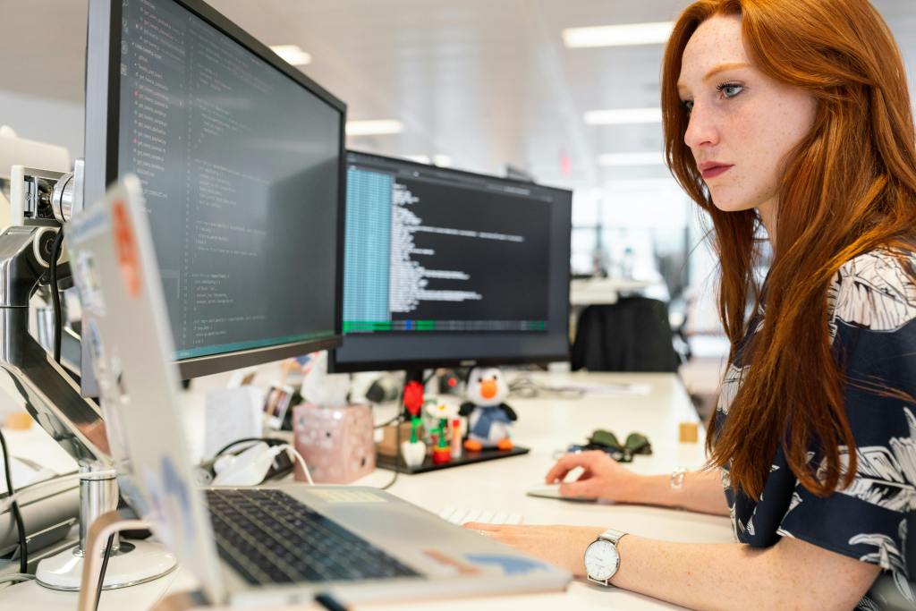 Software Developer at work